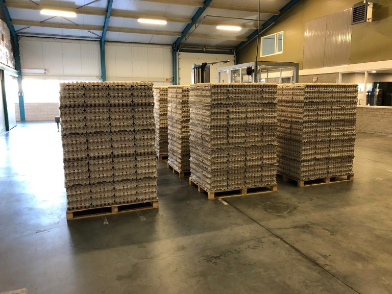 1ff465fe-2f76-45f0-b715-54182d9d24a7