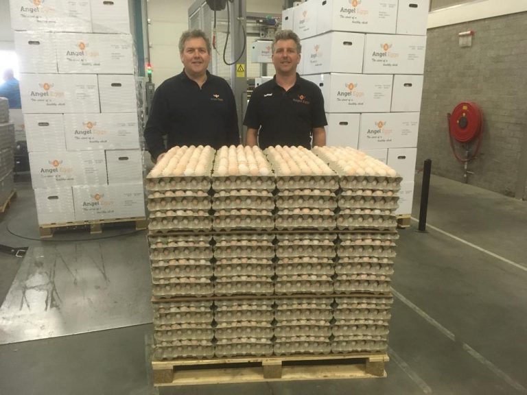 3785f03c-a326-493f-92a9-f7e11ded2c4c