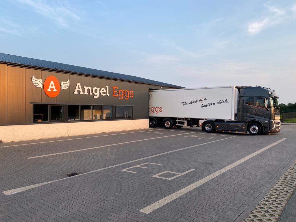 Angel Eggs Specialist in Broedeieren van Vleeskuikens
