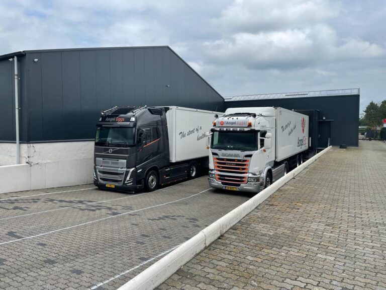 Angel Eggs Wagenpark